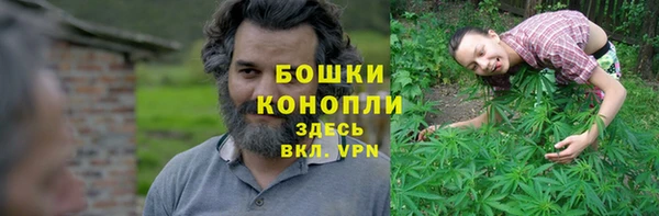 молекула духа Костерёво