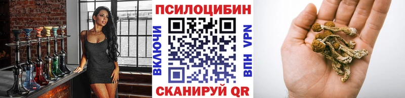 Купить  Истра  Псилоцибиновые грибы MAGIC MUSHROOMS 